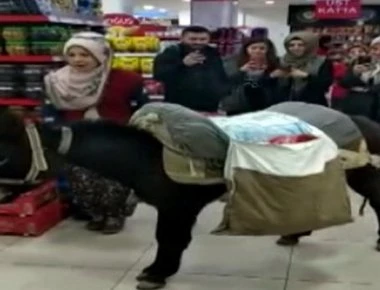 Κλάμα: Οι Τούρκοι δεν θέλουν να πληρώσουν τις πλαστικές σακούλες και πάνε σούπερ μάρκετ με... γαϊδούρια (βίντεο)